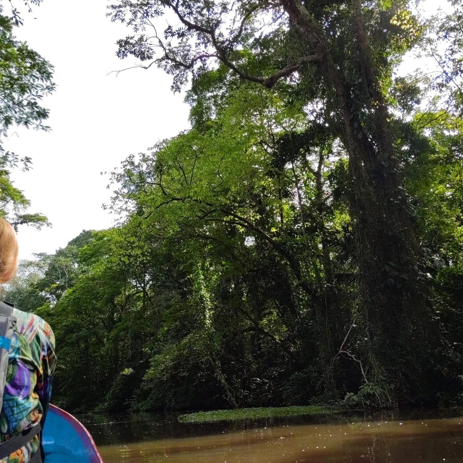 Tortuguero Villas 外观 照片