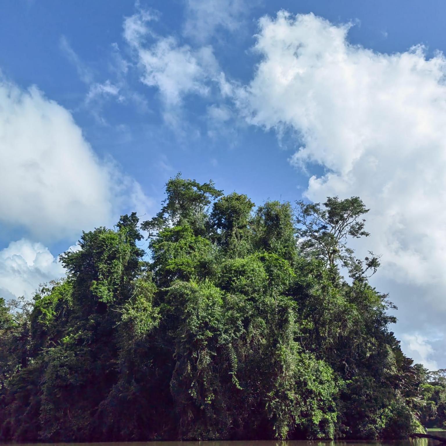 Tortuguero Villas 外观 照片