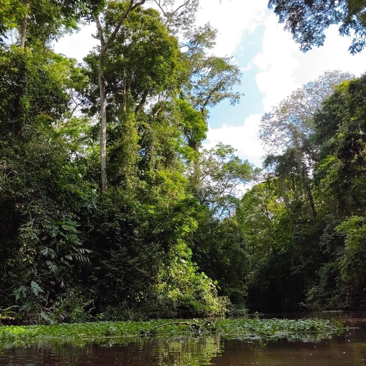 Tortuguero Villas 外观 照片
