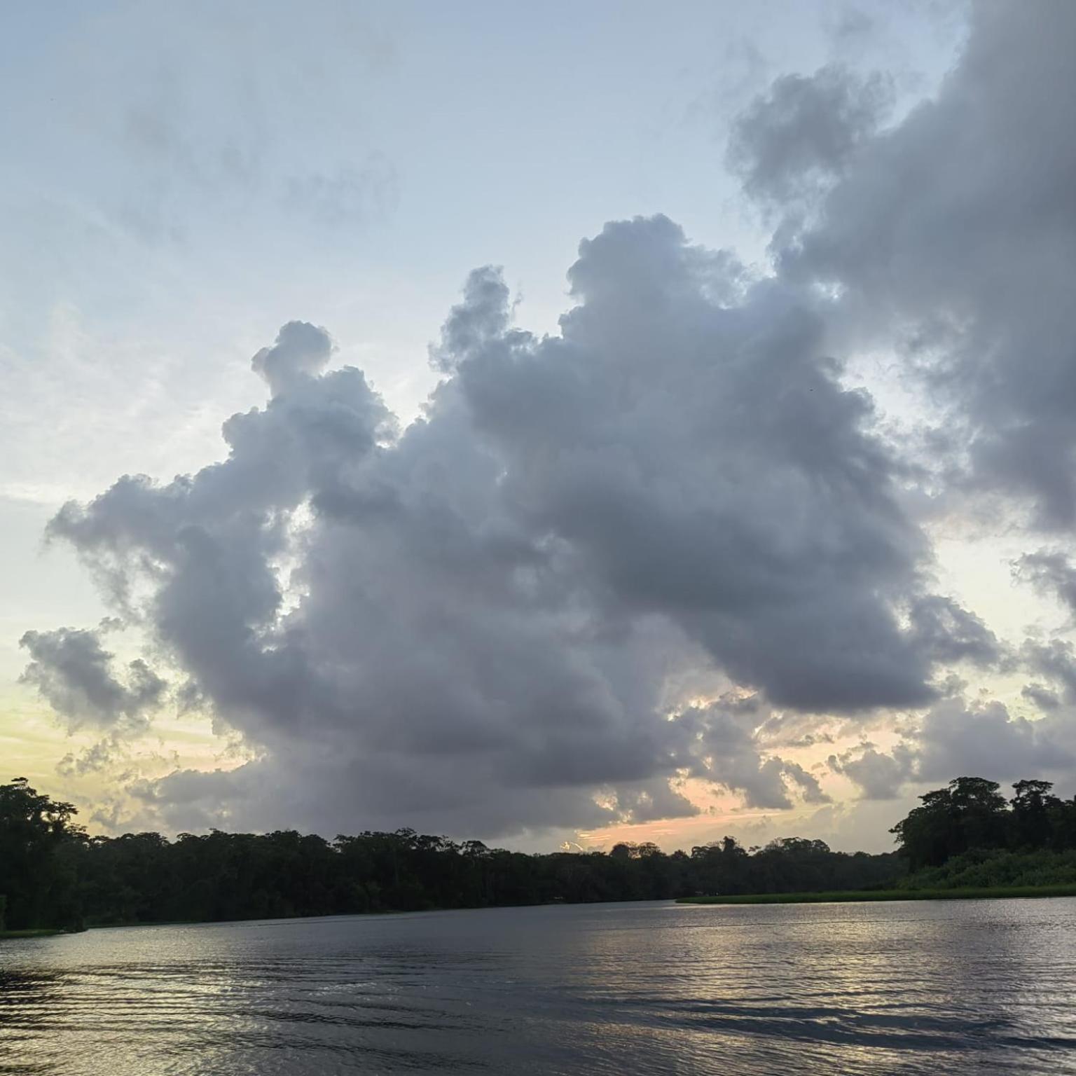 Tortuguero Villas 外观 照片