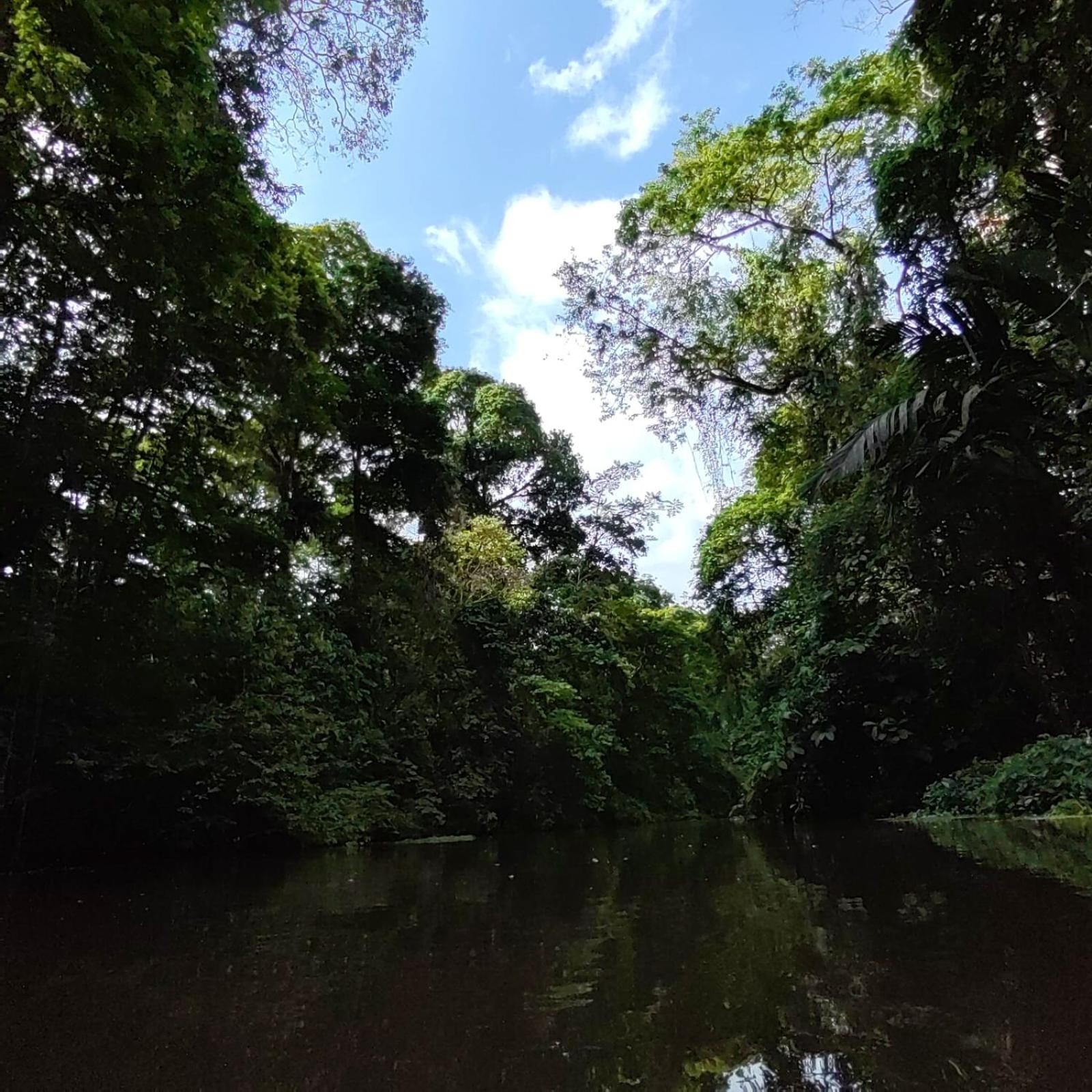 Tortuguero Villas 外观 照片